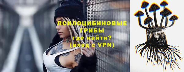 метадон Ладушкин