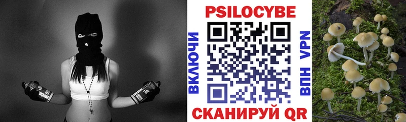 Купить где  Североморск  Псилоцибиновые грибы Cubensis 